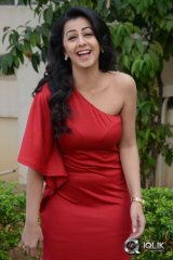 Nikki Galrani at Malupu Movie Success Meet